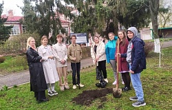 Вдохновение в каждом листочке: высадка яблони в университете