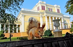 С любовью к городу: в эти выходные Гомель празднует свой день рождения