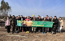 ГомГМУ присоединился к республиканской акции «Дай лесу новае жыццё!»