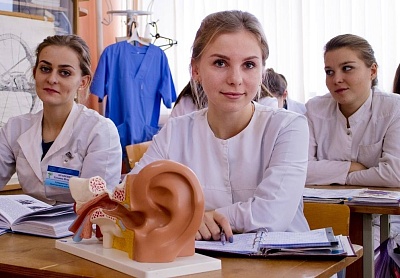 Faculty of Medicine
