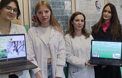 Итоги проекта «Экологический калейдоскоп»