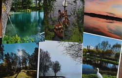 Итоги <b>фотоконкурс</b>а «Наш мирный май»